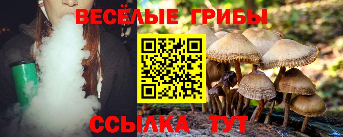 Псилоцибиновые грибы прущие грибы Котельники