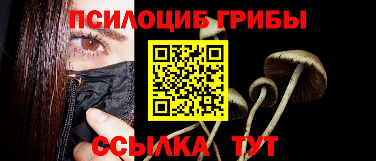 Псилоцибиновые грибы ЛСД  Вход с VPN  Котельники  где купить наркоту  Галлюциногенные грибы GOLDEN TEACHER 